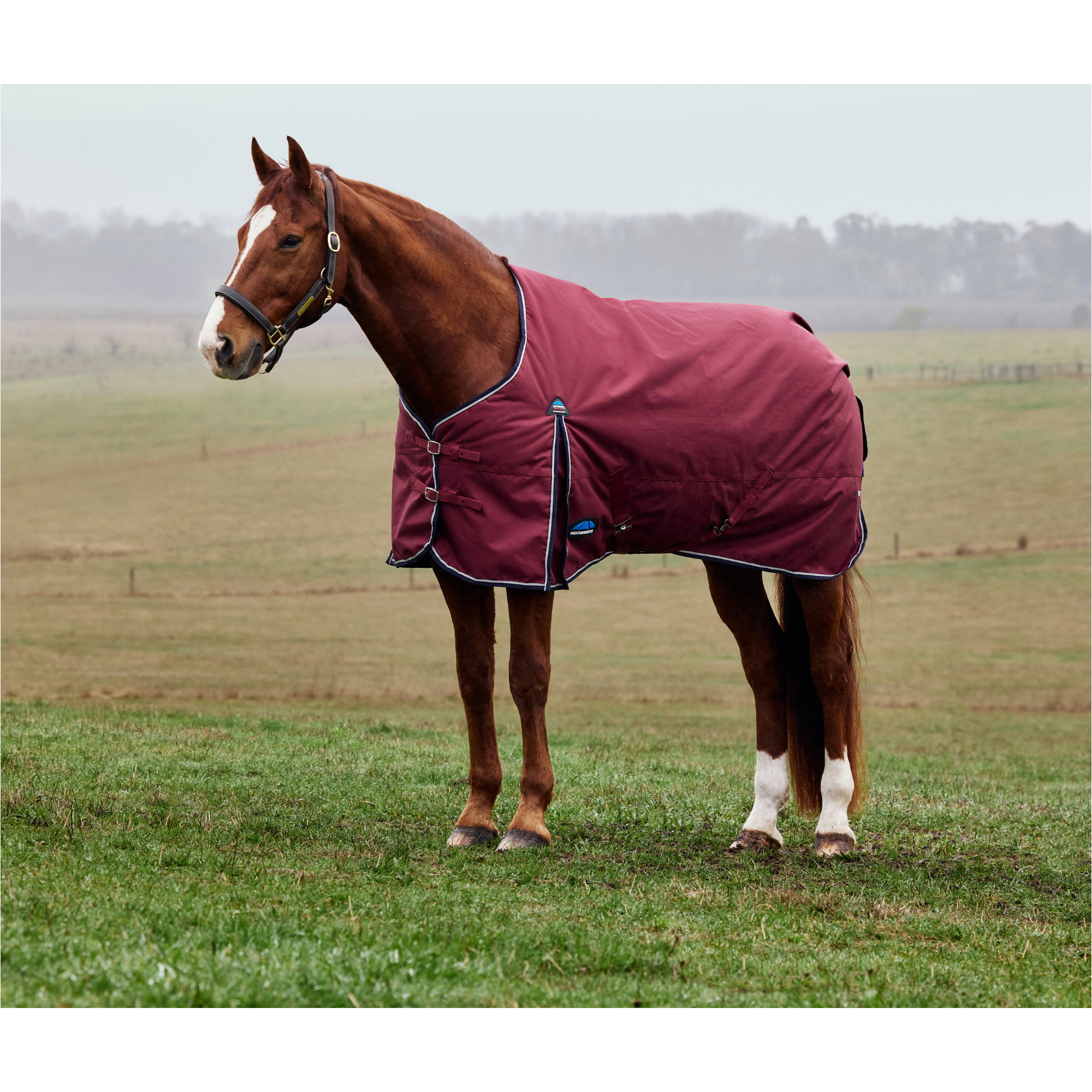 2025 Weatherbeeta Comfitec Prelim Turnout 1029033 - Burgundy